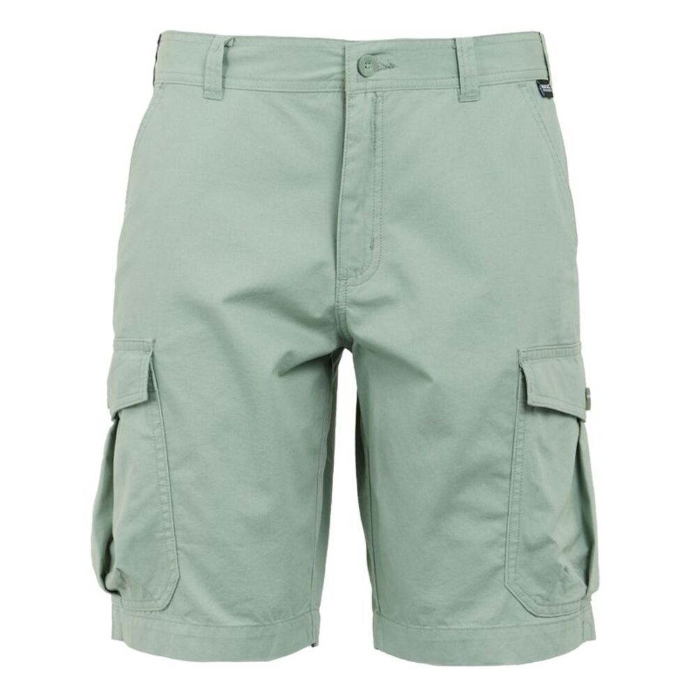 Regatta Mens Ruwan Casual Shorts / Glacier